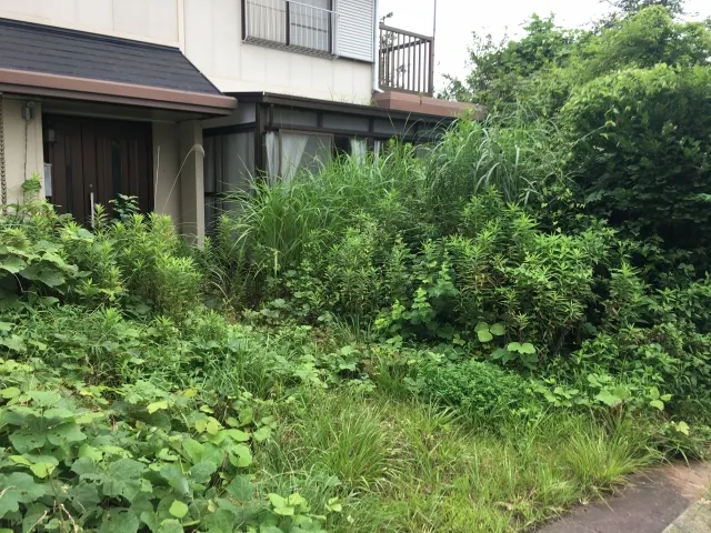 樹木の伐採・除草作業